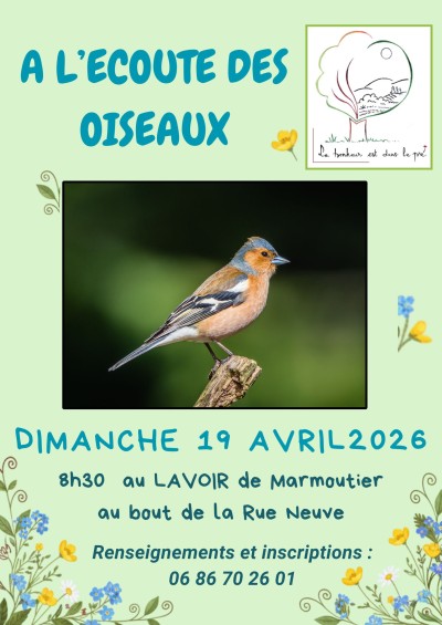 Dimanche 19 avril 2026 À l'écoute des oiseaux à Marmoutier