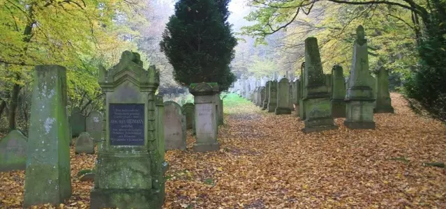 ASVP 1799 (Association de Sauvegarde et de Valorisation du Patrimoine 1799)