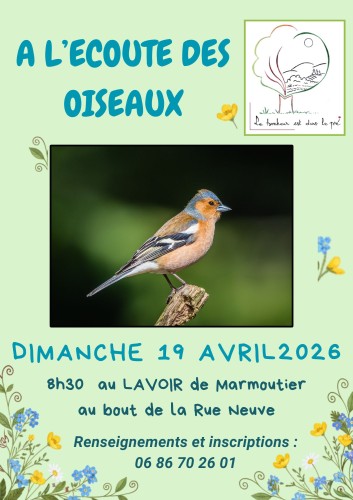 A L’ECOUTE DES OISEAUX.jpg