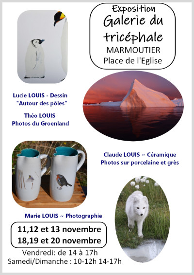 Vendredi 11 novembre 2022 Exposition Galerie du Tricéphale à Marmoutier
