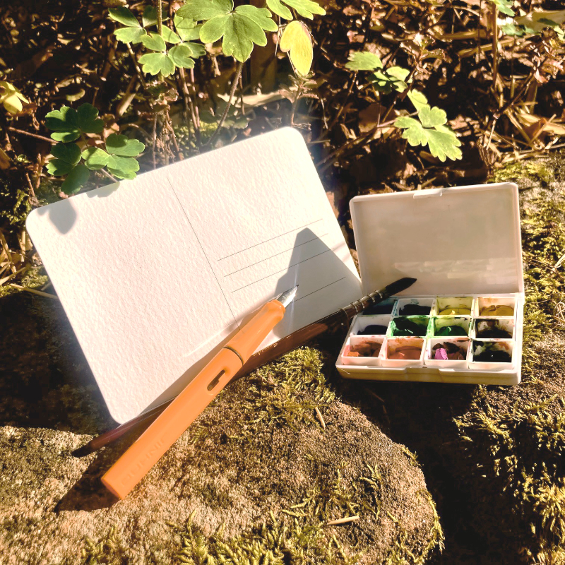plantes-sauvages-aquarelle2