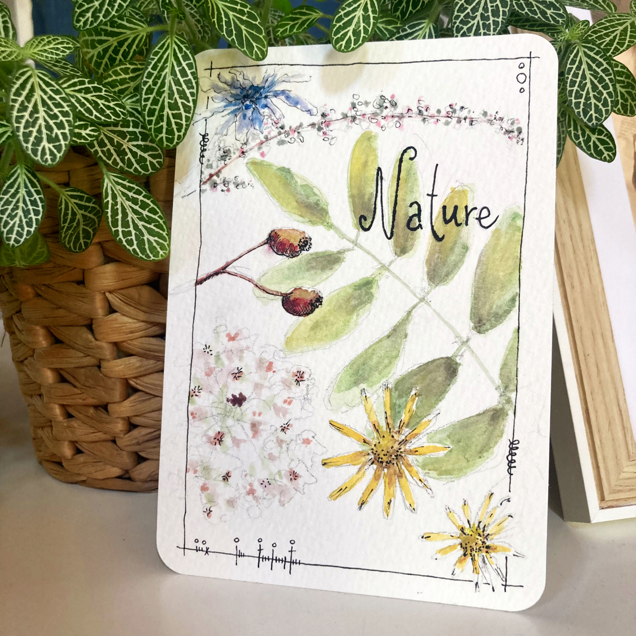 plantes-sauvages-aquarelle3